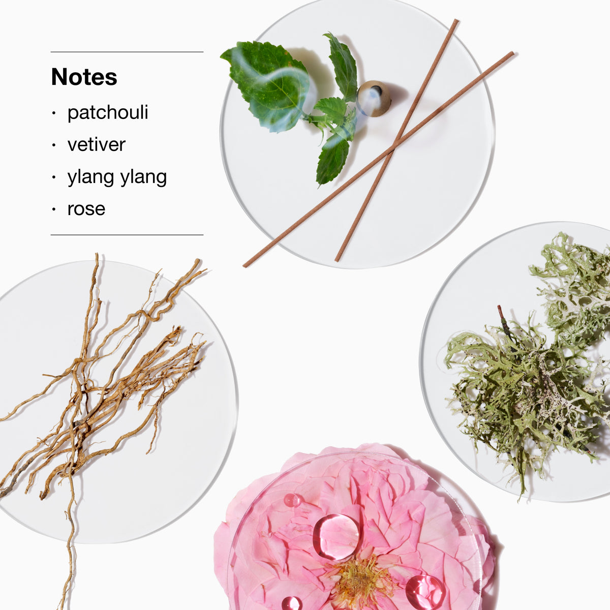 Aromatics Elixir™ Body Wash