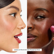 Chubby Stick™ Pink Flush Cheek Duo, Model, multiple