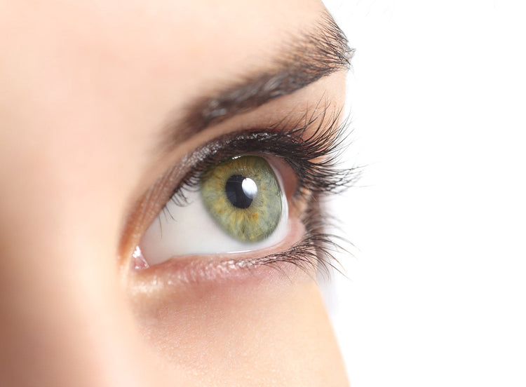 Best Eyeshadows for Green Eyes