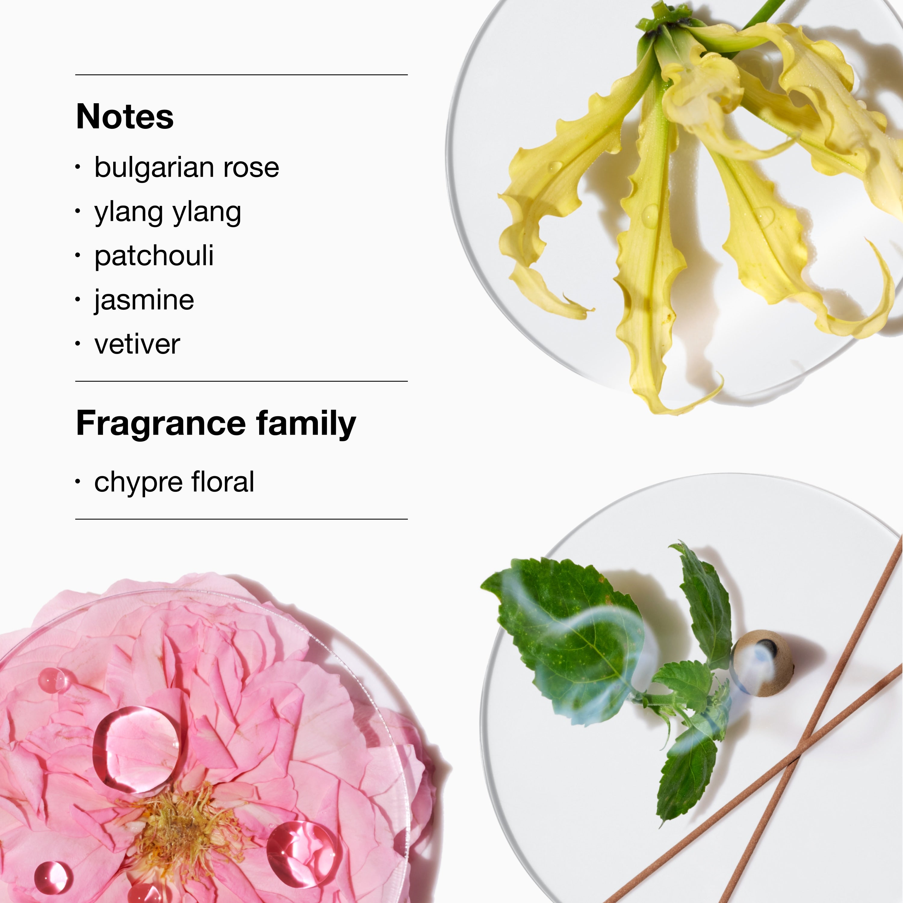 Aromatics Elixir™ Eau de Parfum Spray | Clinique