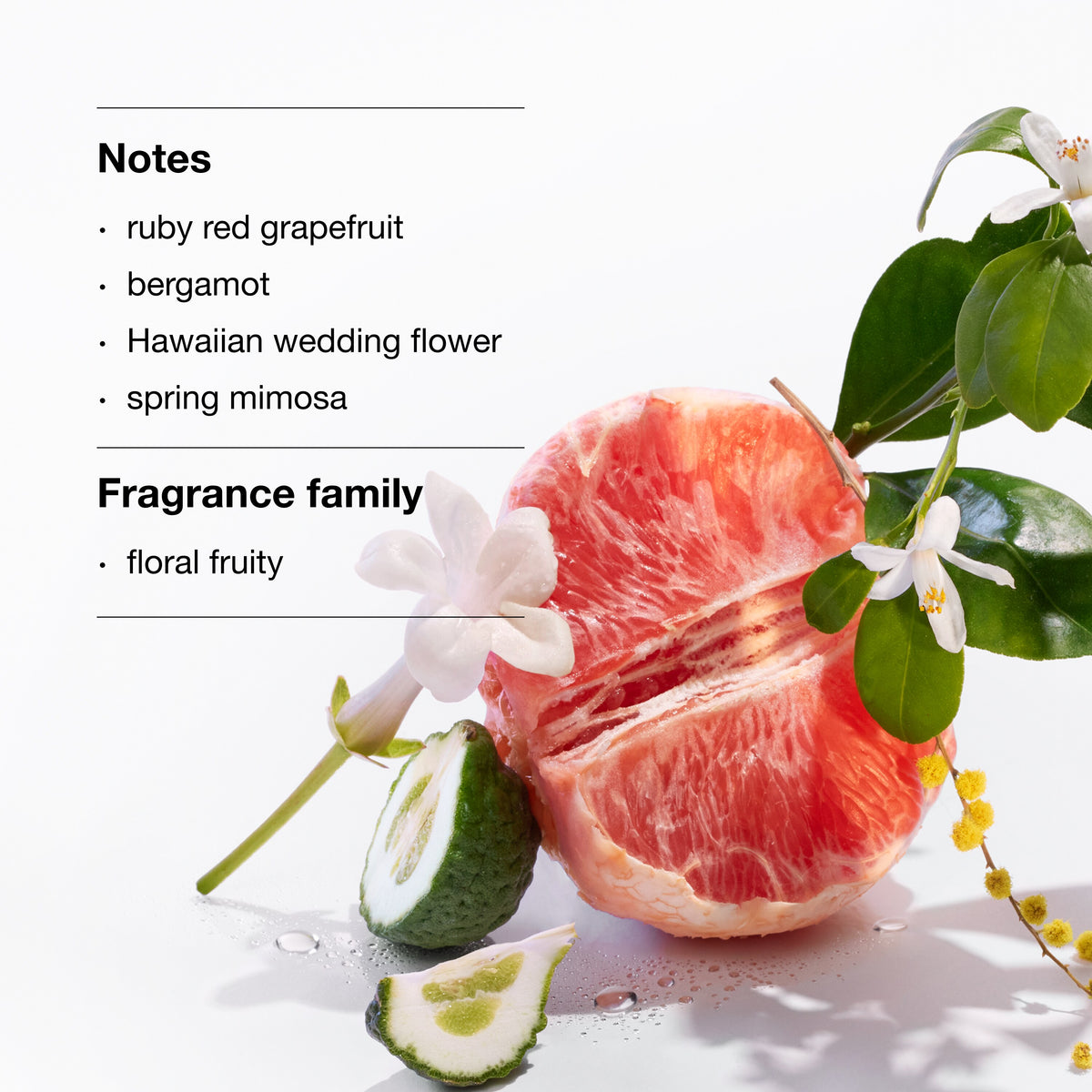 Our Most-Loved Fragrance + Moisturizer Bundle, Alt