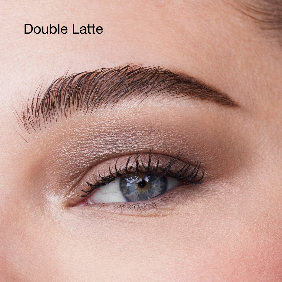 High Impact™ Shadow Play™ Shadow + Definer, 1.9 g, Double Latte, Model, light