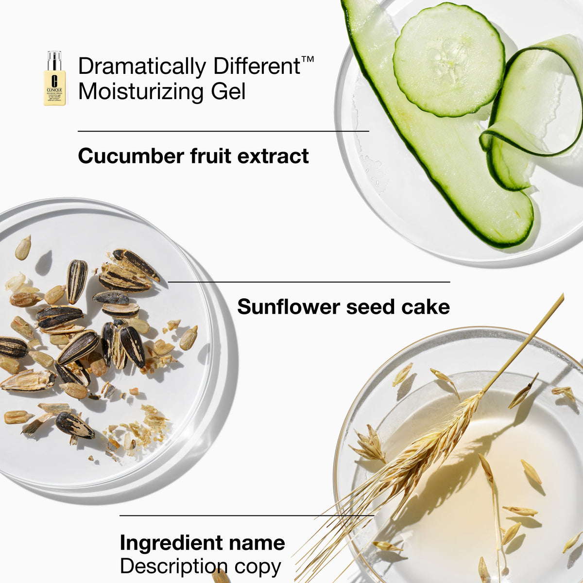 Great Skin Everywhere: For Combination Oily Skin, Alt