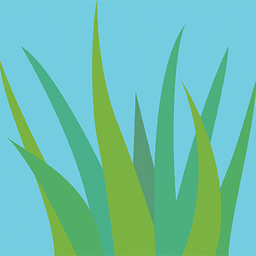 Image result for colorful algae gif