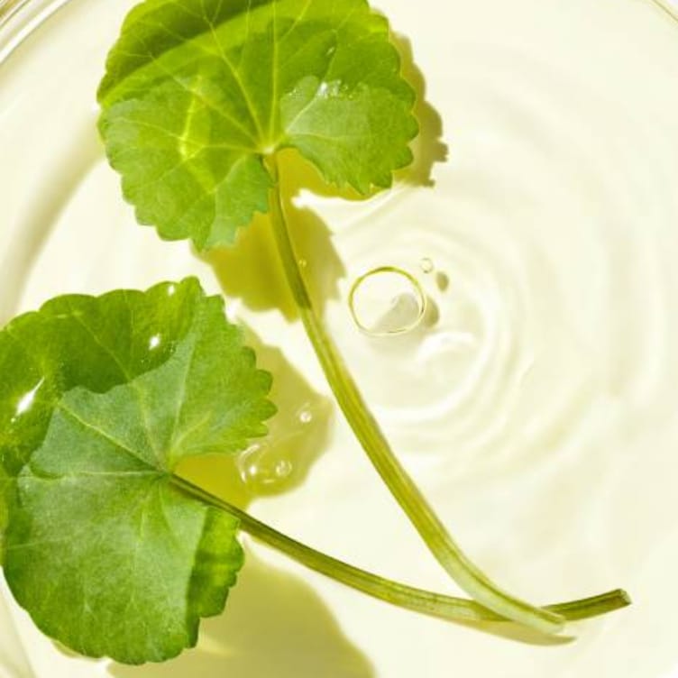 PDRN