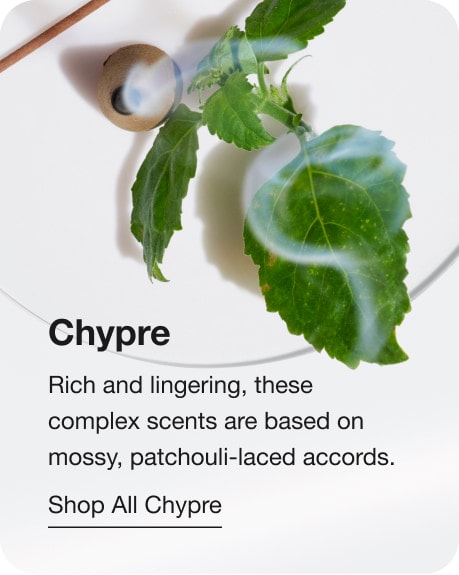 Chypre. Rich and lingering, these complex scents are based on mossy, patchouli-laced accords. Shop All Chypre