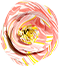 tries left